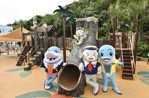 Blue Heros at Ocean Park, Hong Kong Blue Heros at Ocean Park, Hong Kong